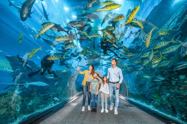 Dubai Aquarium Underwater Zoo - clicktoguide