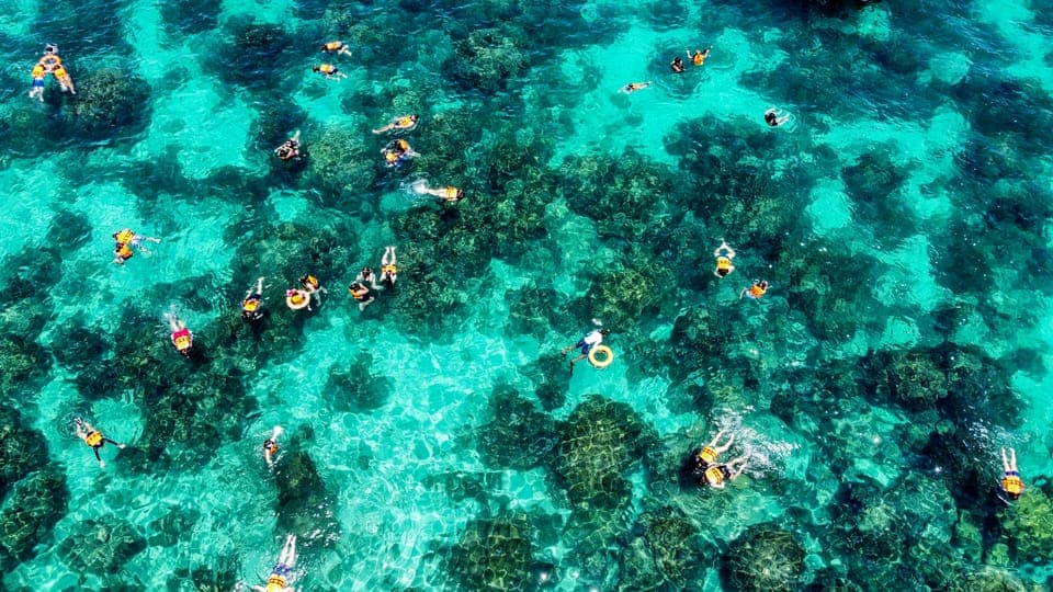 Maya, Phi Phi, and Bamboo Island Day Trip - clicktoguide